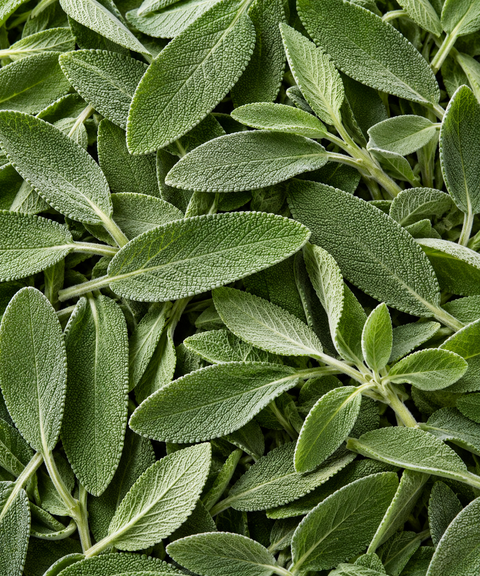 Sage Flavored