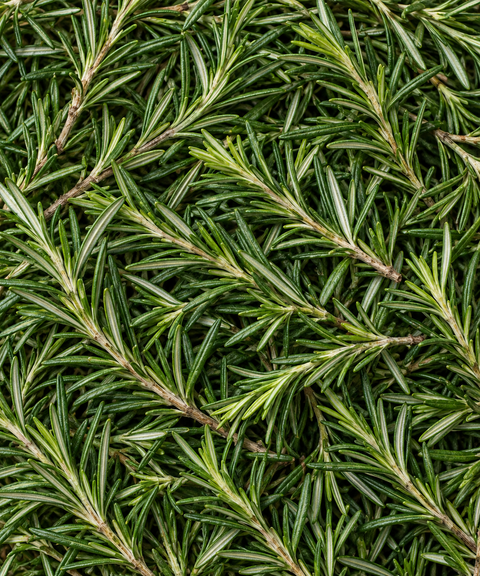 Rosemary Flavored